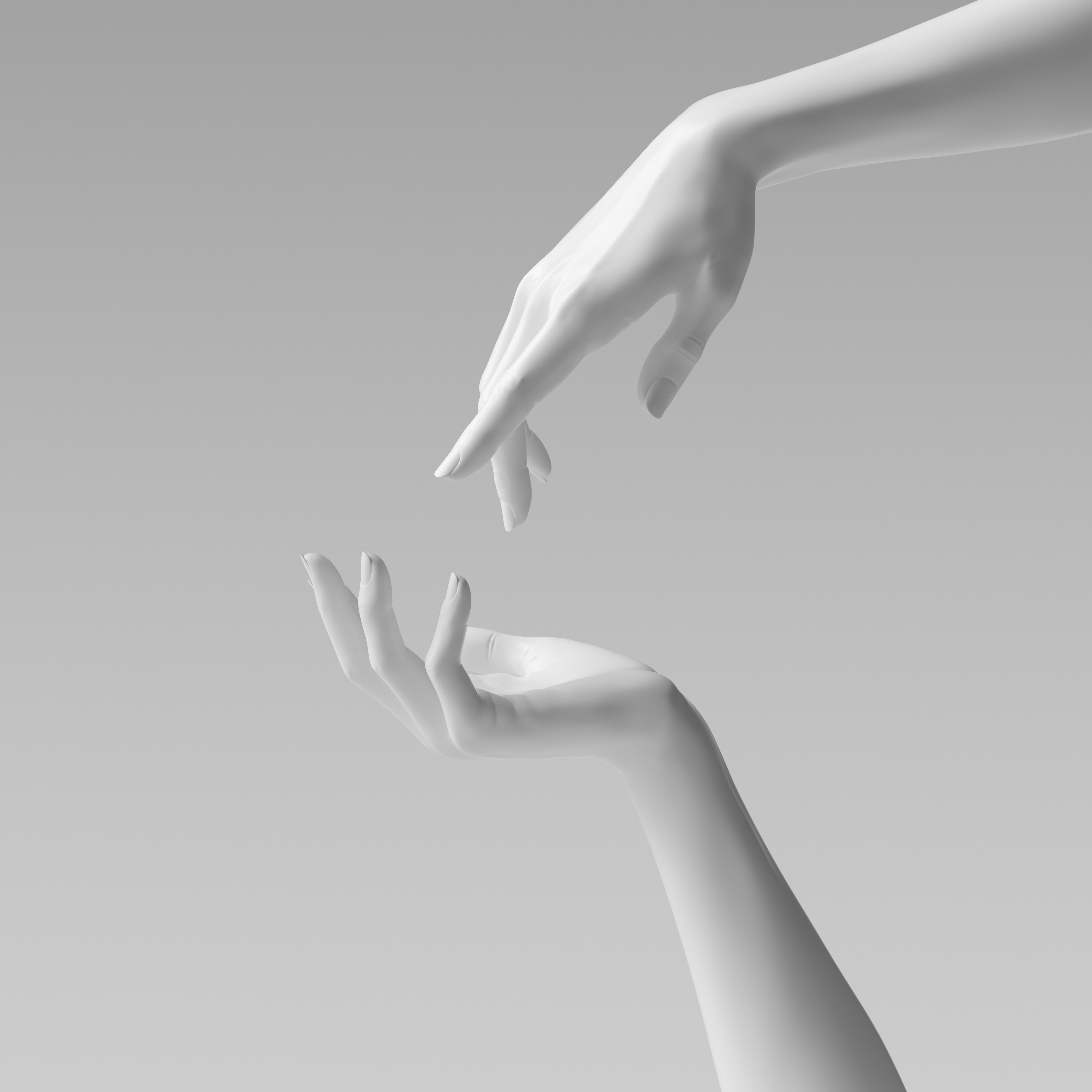 Sculptrice Aesthetics